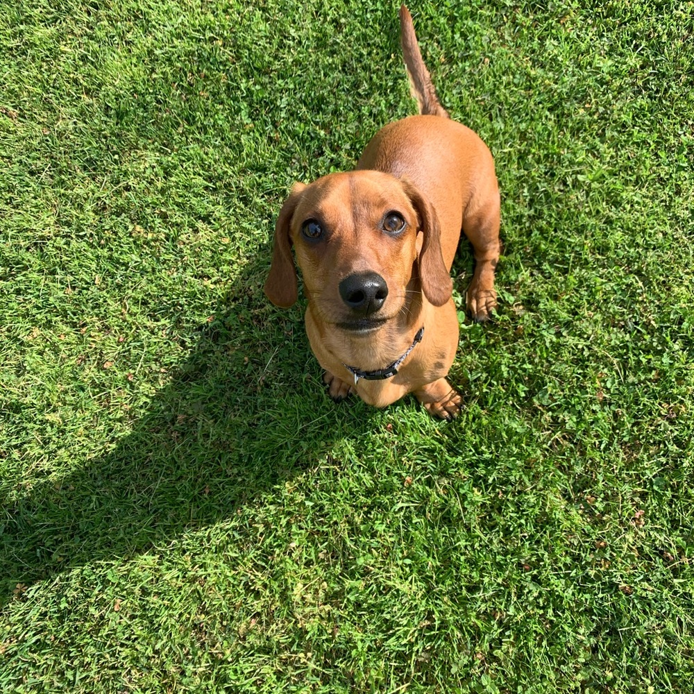 Meet your Posher, Summer